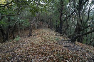 231220-02.jpg