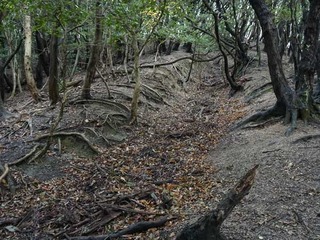 231220-03.jpg