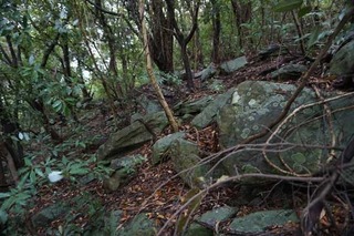 231220-05.jpg