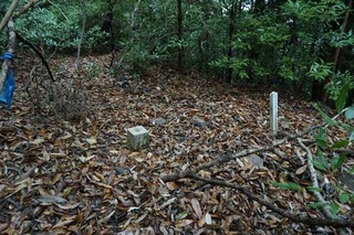 231220-08.jpg