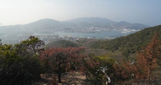 250128-05.jpg
