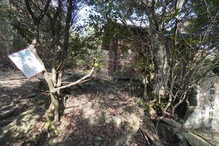 250128-11.jpg