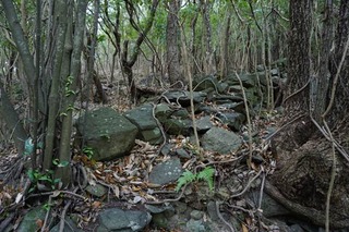 250219-01.jpg