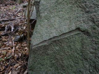 250219-03.jpg