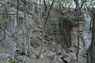 250219-05.jpg