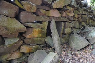 250219-07.jpg