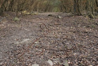 250219-09.jpg