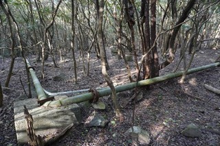 250219-10.jpg