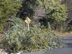 �����E�P